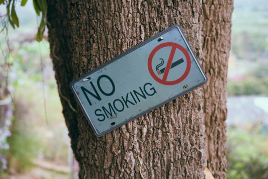 A no smoking sign hanging from a tree